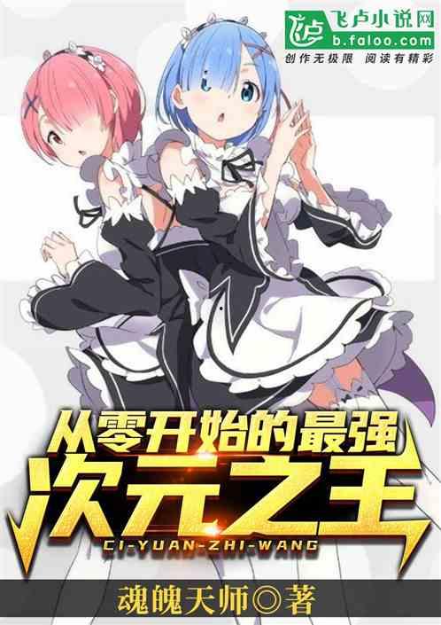 次元王,次元王的世界之旅